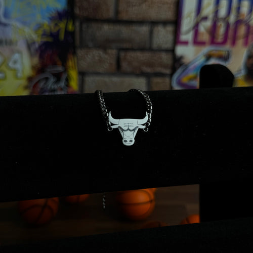 Chicago Bulls Necklace